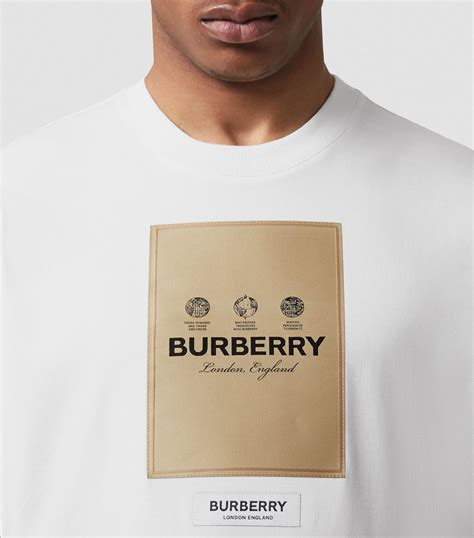 burberry t shirt celebrity|Burberry t shirt original price.